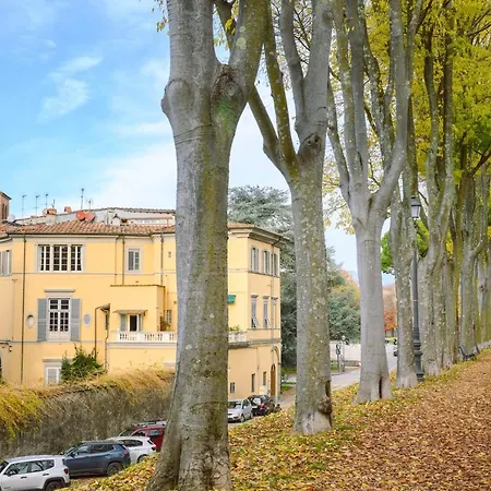 Palazzo Froussard And Living *